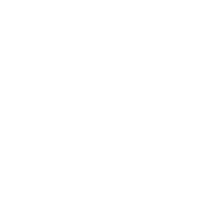 Divi-Logo-White-300x300