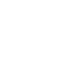 Wordpress-Logo-White-300x300